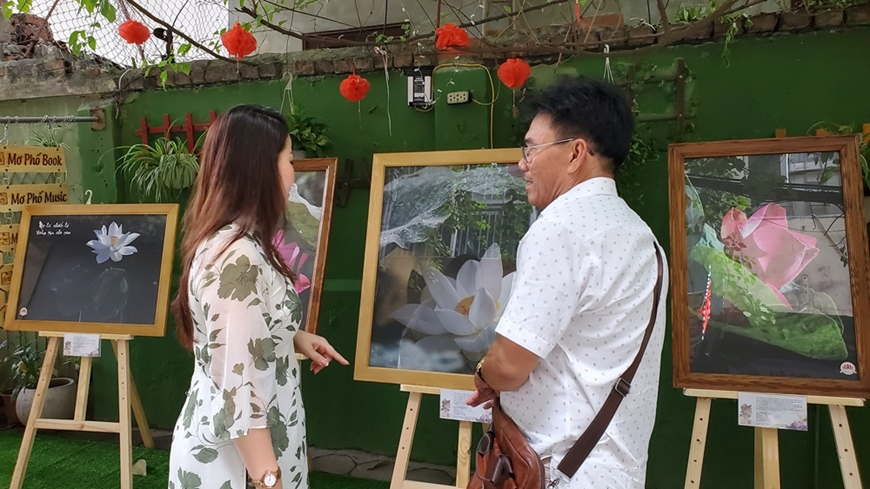 Hội Bác sĩ tình nguyện ra mắt “Không gian Mơ Phố Art”, tổ chức triển lãm tranh “Sen và Đời”